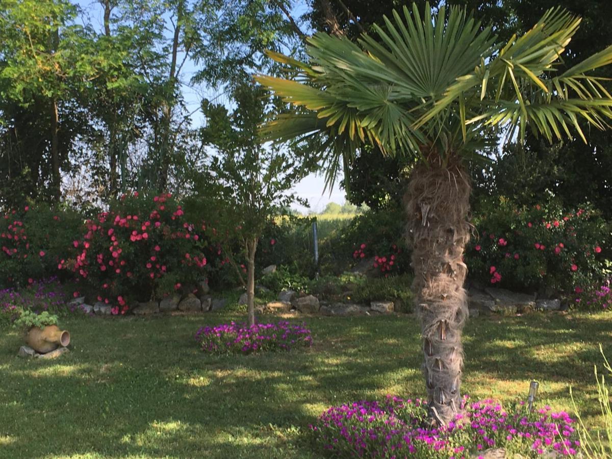 Appartement Mansarde Et Climatise 50 M2 Pompignan  Bagian luar foto